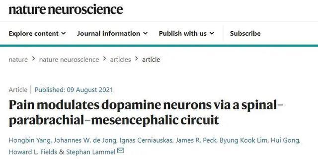 空间站 疼痛影响大脑中多巴胺活动（fMOST技术再次助力神经环路研究）