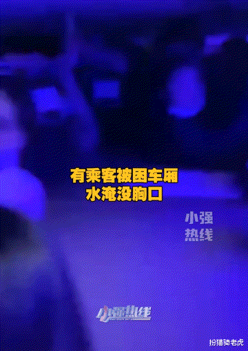 扮猫骑老虎|24小时内,450个西湖涌进郑州,我不敢看河南人的朋友圈