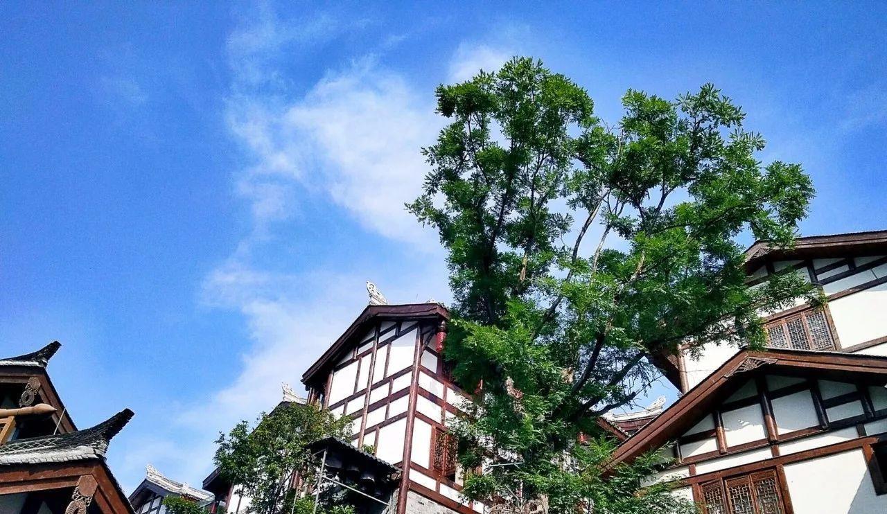  四川一5A级景区走红，听着名字便已心动，门票120游客不断