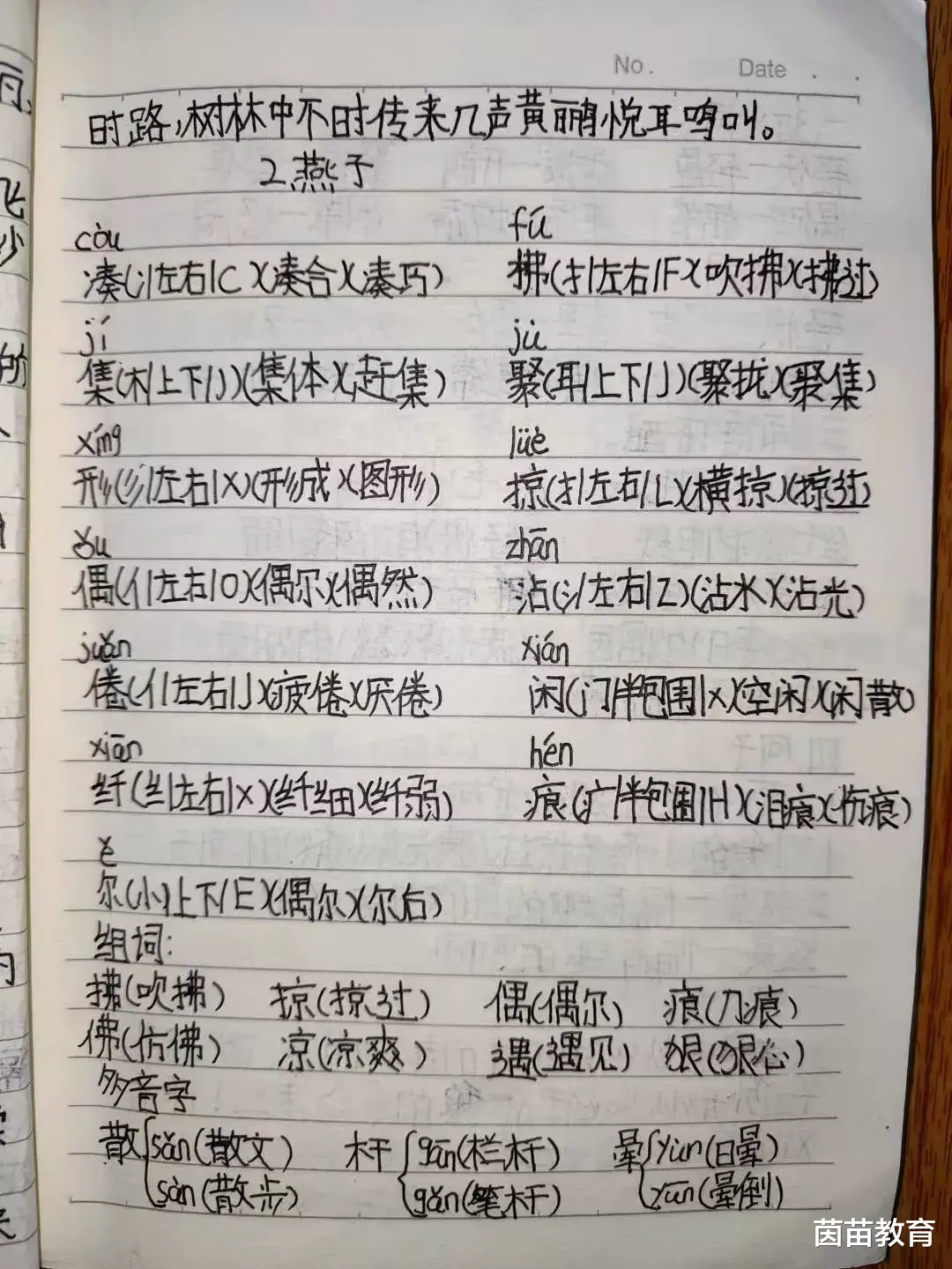 女孩|检查笔记需要注意哪些地方？家长来看看！