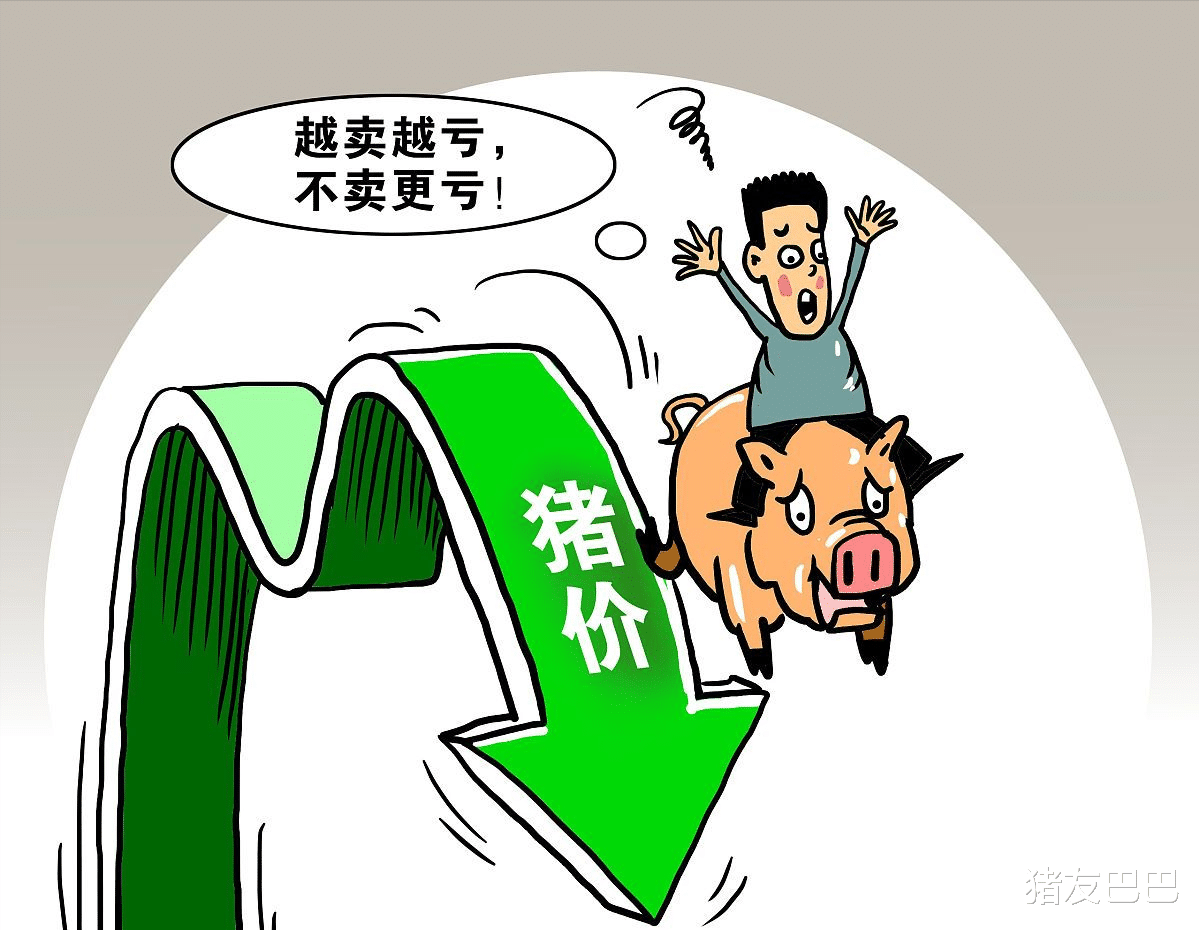 豬價上漲乏力，屠企揮舞制裁大棒，豬價又要跌瞭？附7月12日豬價-圖5