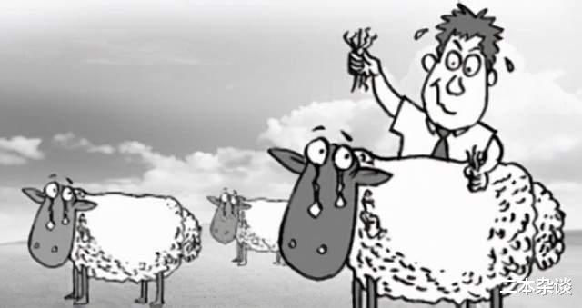 羊毛党|二本谈币：酸了！ENS大毛，有人撸了120000万币，价值近800万刀