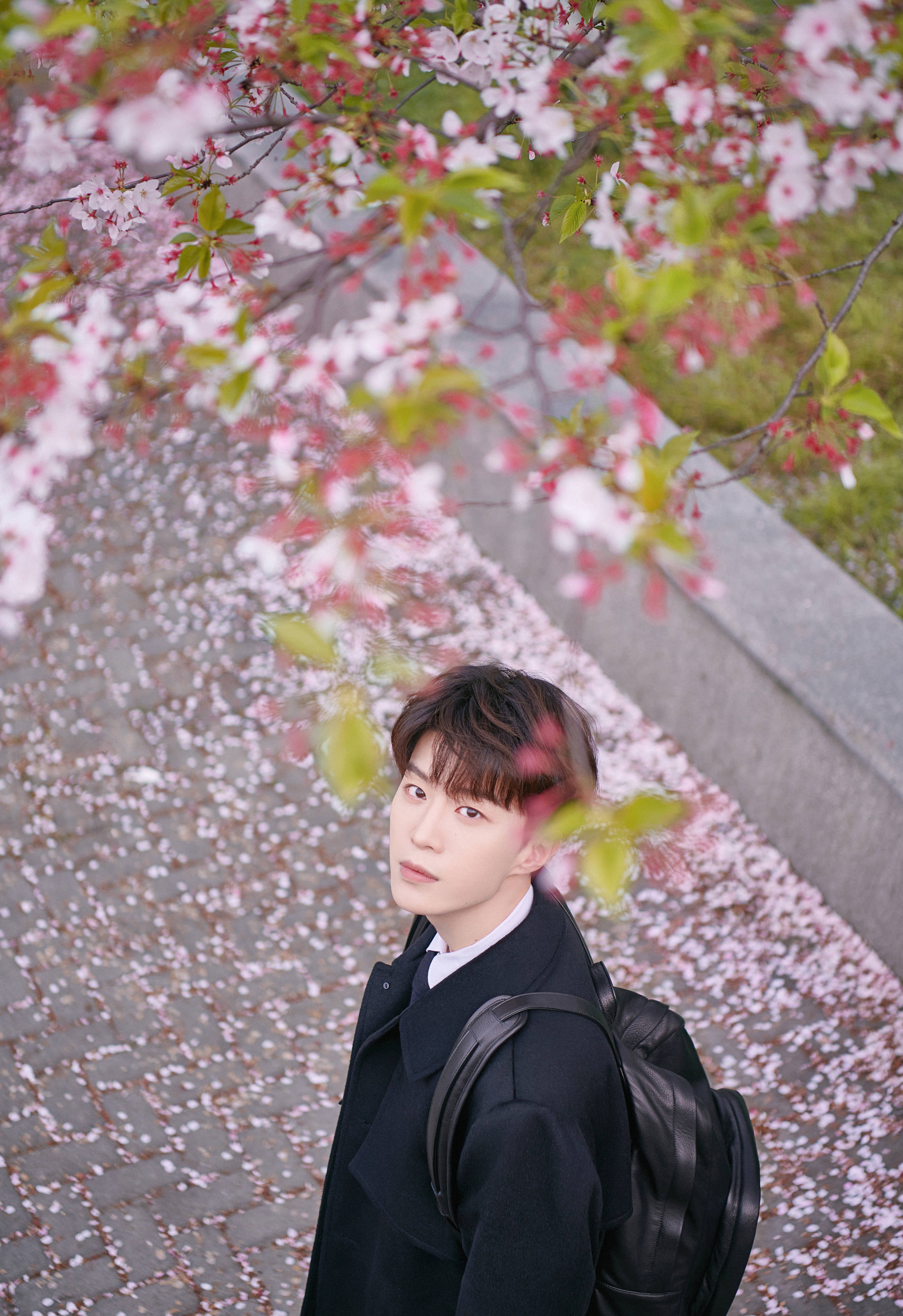 明星|如果不是血缘为证，你能想到这些明星是亲兄妹吗？