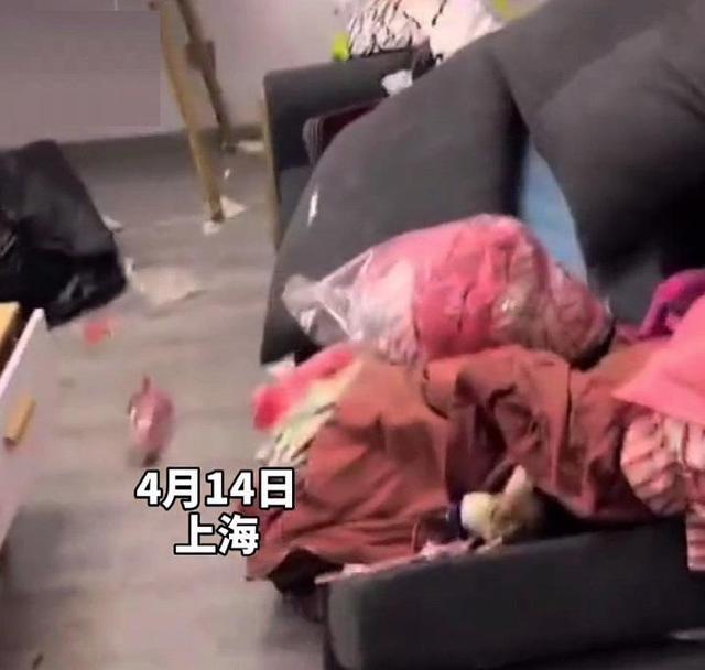 中年女同学自救指南 上海两女孩偷偷退租,房东收房时崩溃:满屋垃圾,厕所粪便堆成山