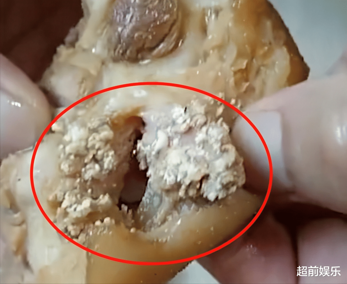 超前娱乐 广东一女子买猪蹄，回家发现有白点，掰开猪皮一看瞬间不淡定了！
