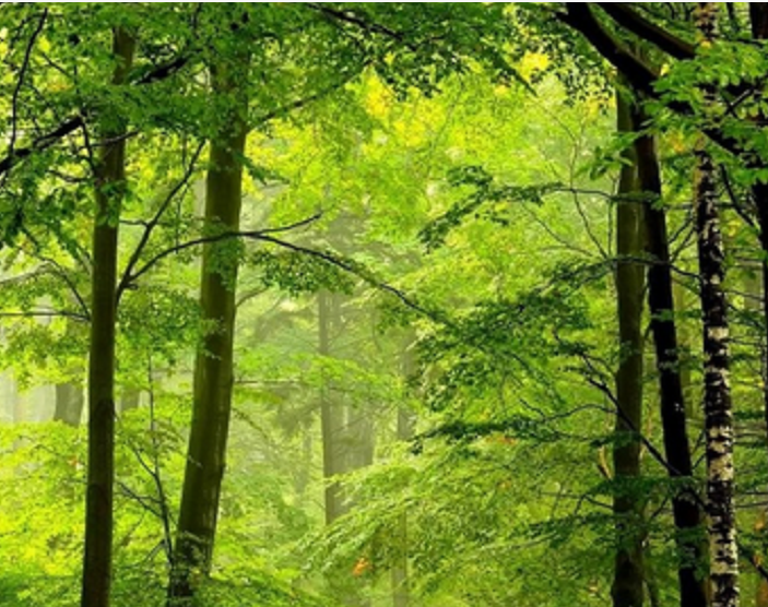 三维空间 三维空间的独特现象，自古有之，您相信吗