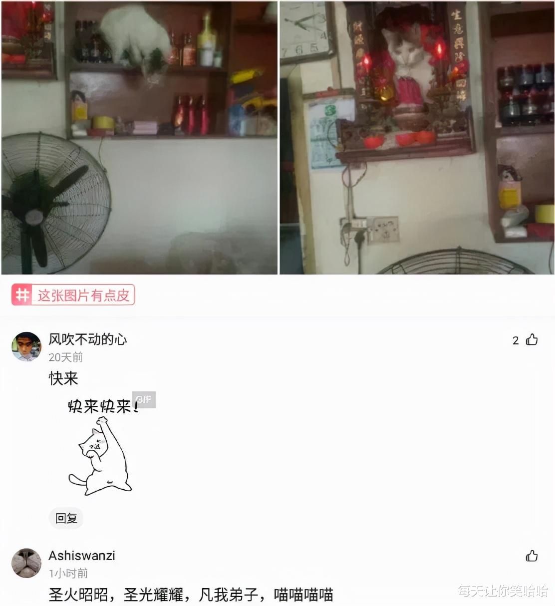 神回复|神回复：日本天皇19岁独生女照片流出，评论区里炸锅了，神评绝了