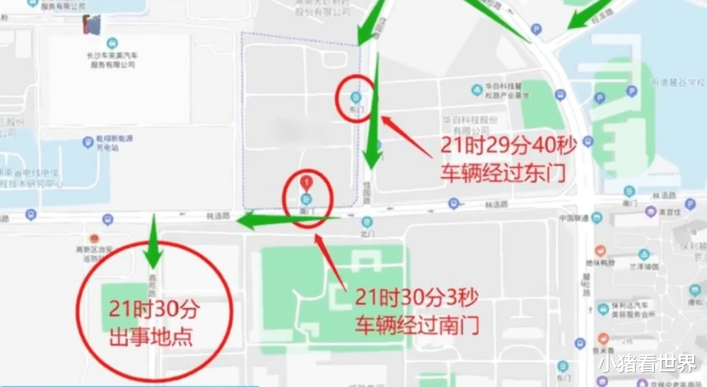 小猪看世界 货拉拉成了“祸拉拉”,巨额赔款平息“车莎莎”事件,背后真相成疑