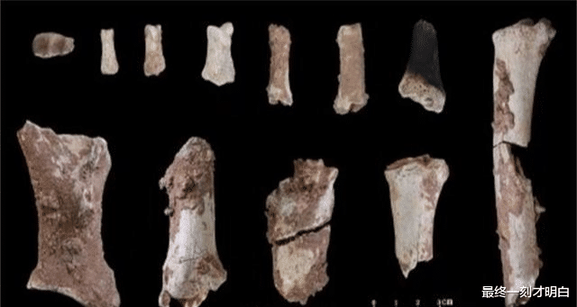 “北京人”不是中国人祖先,河南3.2万年前人类可能是,究竟为啥?