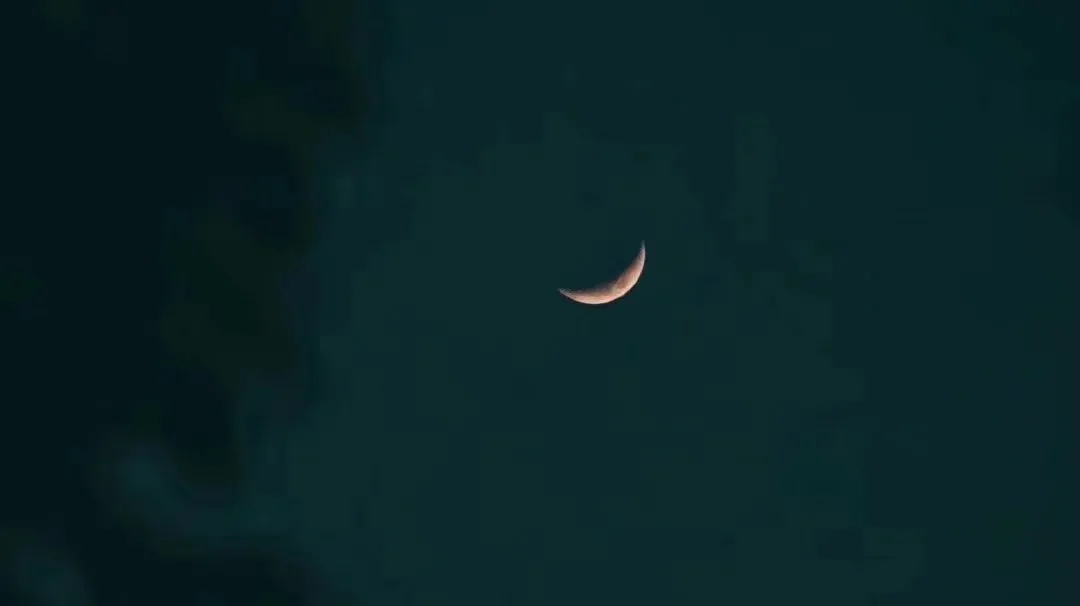 大卫星座|真正的对的人不是先来的人，而是来了以后没离开的人