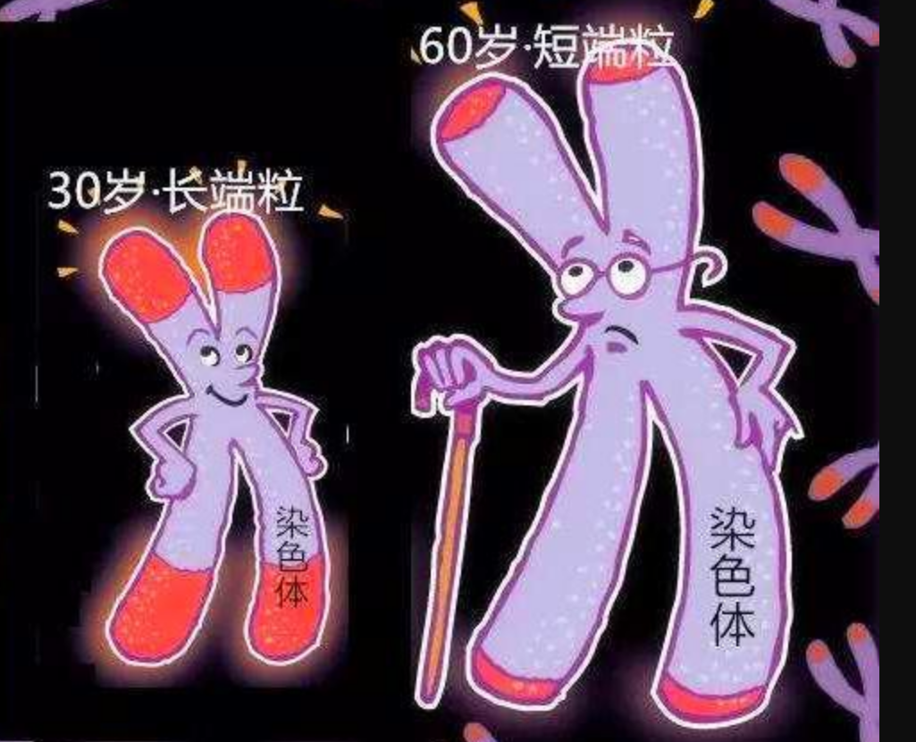 女宇航员返回地球后,禁止生育?“航天一姐”刘洋早就打破谣言