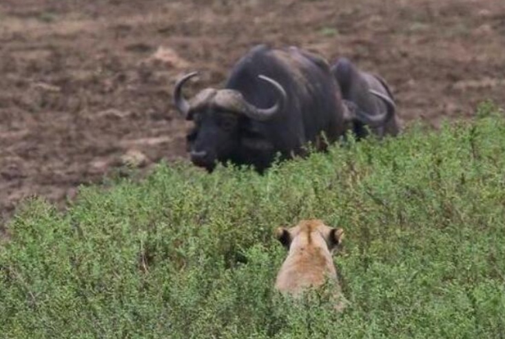 杨旭文 船长实战干货分享:如何让右侧交易利润最大化