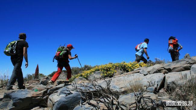 上海市 户外穷游！异性驴友“拼房”不足为奇，美女说出真实感受