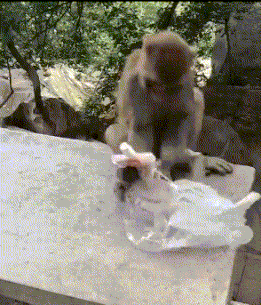 风云视角|搞笑GIF: 这家伙冻得，估计亲妈都不认识