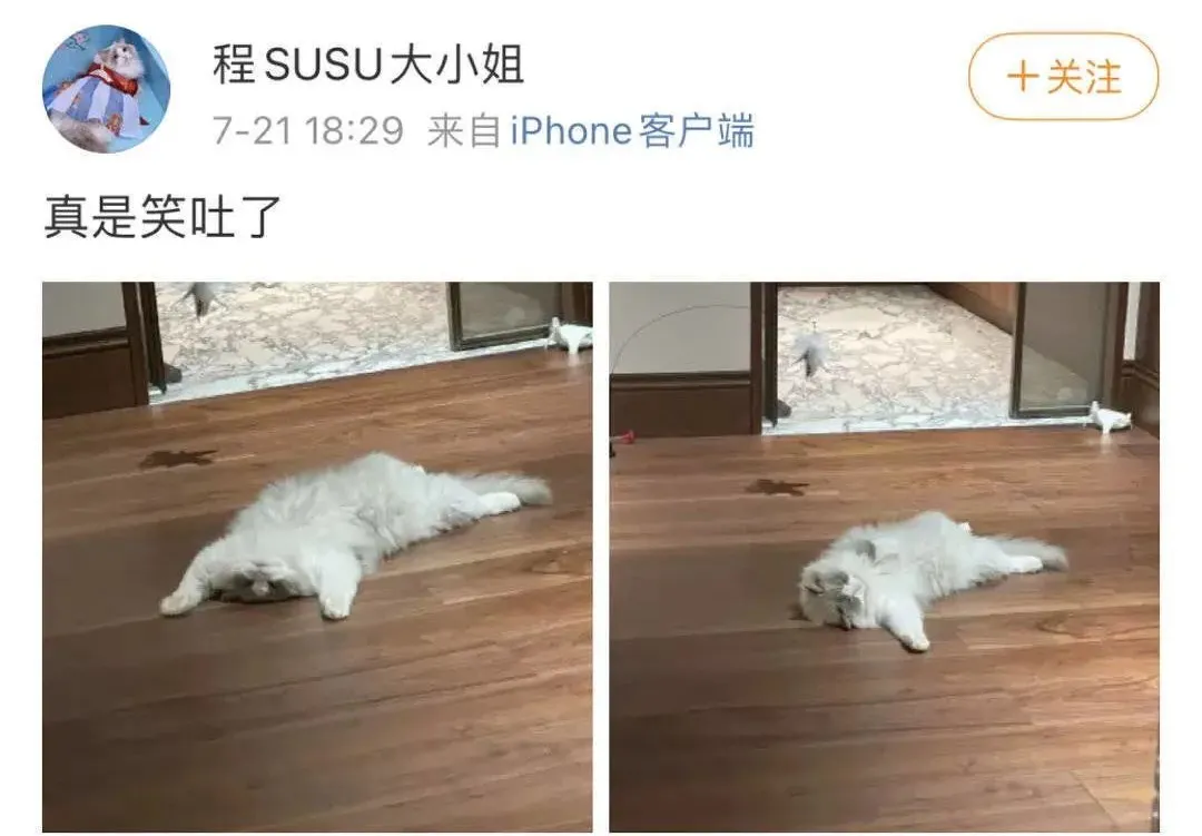 |被骂上热搜!诈捐还有理了?