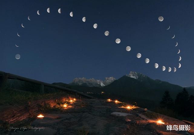 海豹 44张活久未见的照片，驴居然叼着一只狼，大白鲨撞飞海豹跃出水面捕食