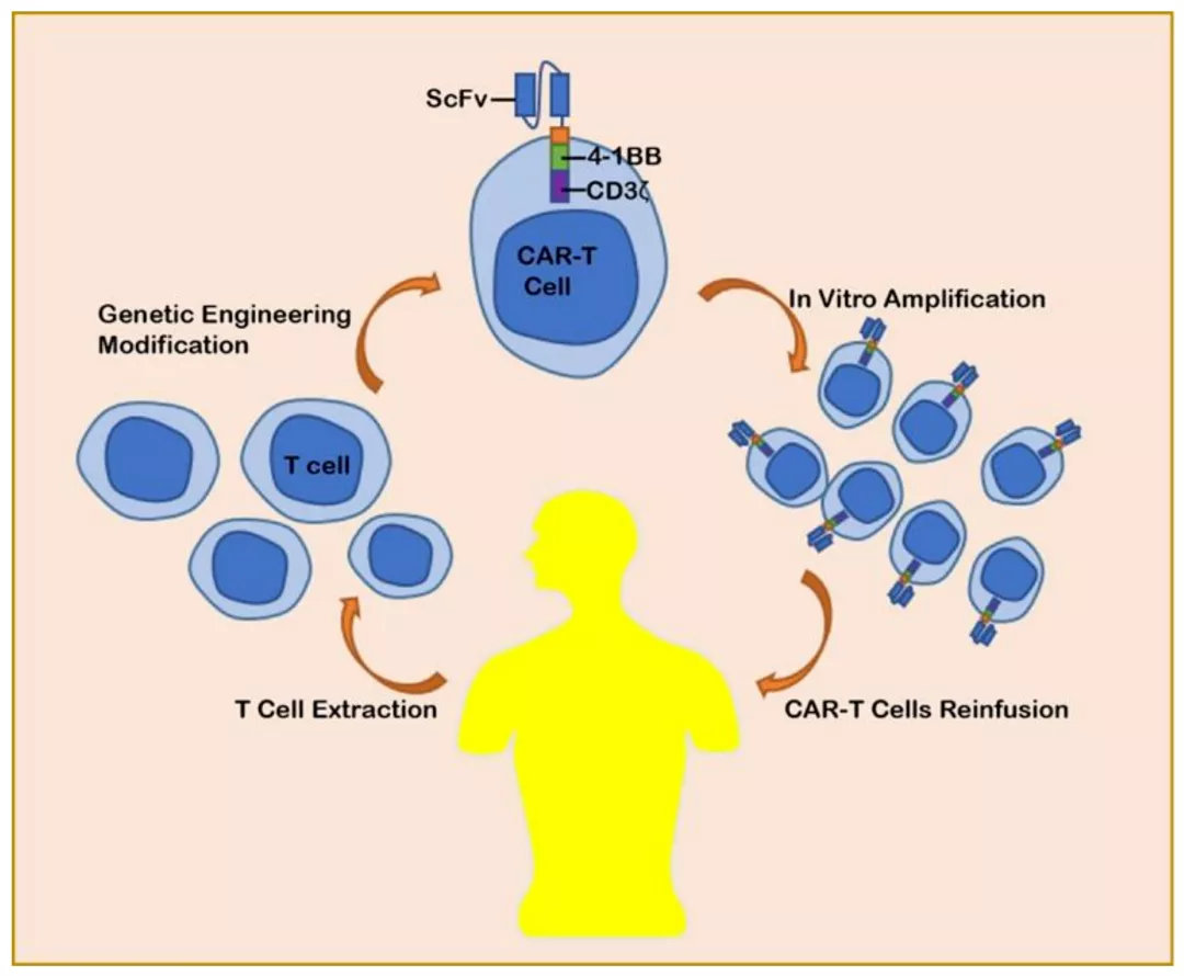 与世隔绝 新突破！120万就能买回一条癌症晚期患者的命