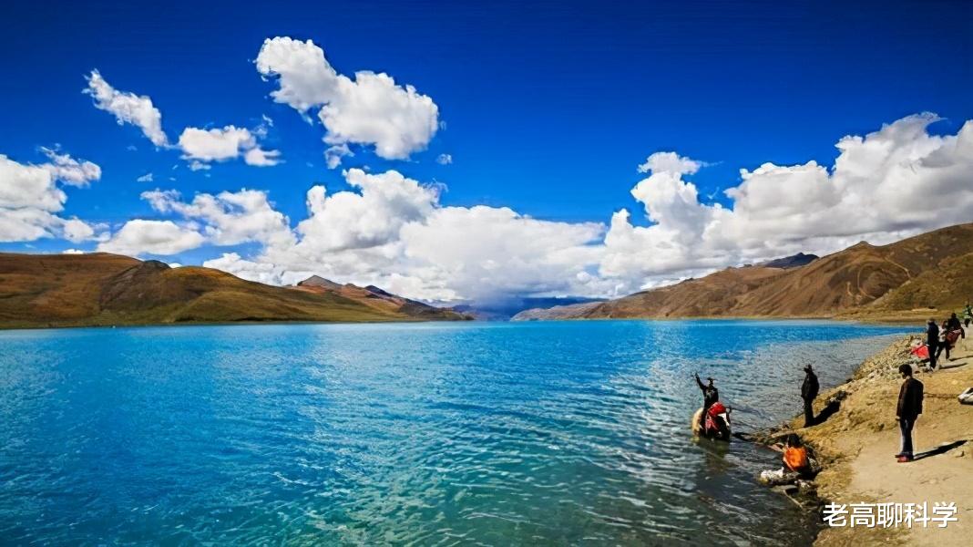 湟鱼 为什么西藏有5亿公斤高原裸鲤，无人敢捕捞，青海却吃得差点绝产