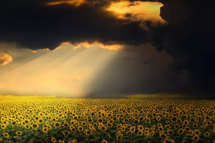 皮肤病|针灸治疗7种顽固皮肤病