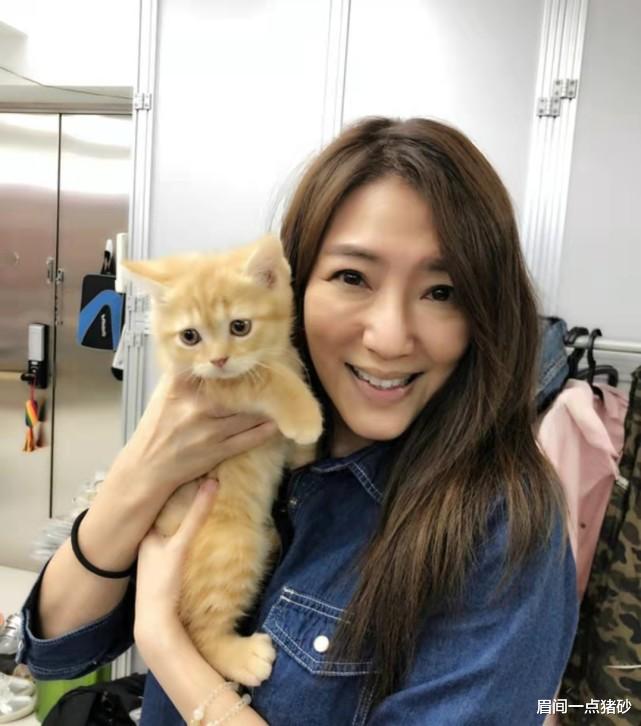 黄日华|多次传出绯闻，TVB知名女星与黄日华感情甚好，称不排除有发展可能