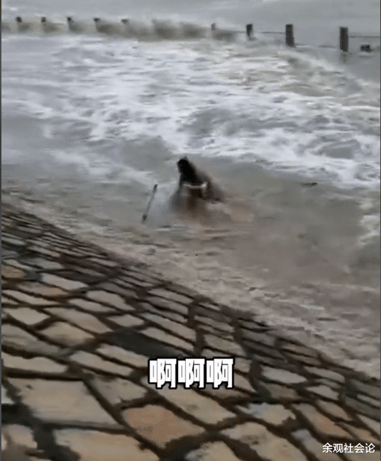 钱塘江 女子看钱塘江大潮，面对众人大喊“上岸”装听不见，结果被冲跑了