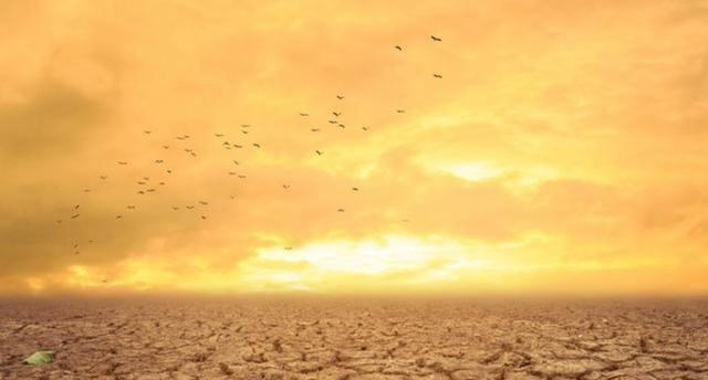 北极|全球变暖恶果显现，北极冰川迅速融化，我们能重新冻结北极吗？