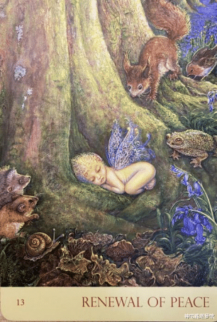 神叨酱塔罗馆|神叨酱:8.16心灵运势指引