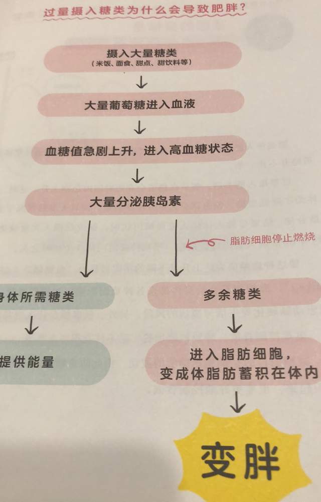 肿瘤|《减糖轻断食》减糖+轻断食，让你一年减重18kg