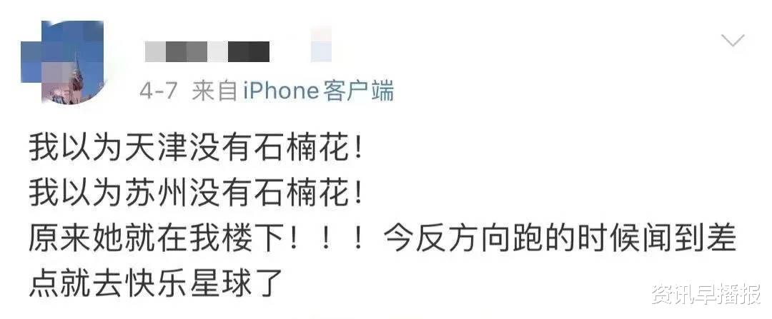 资讯早播报 一夜春风吹,苏城百花开,我姓石,我向全苏州人“道歉”!