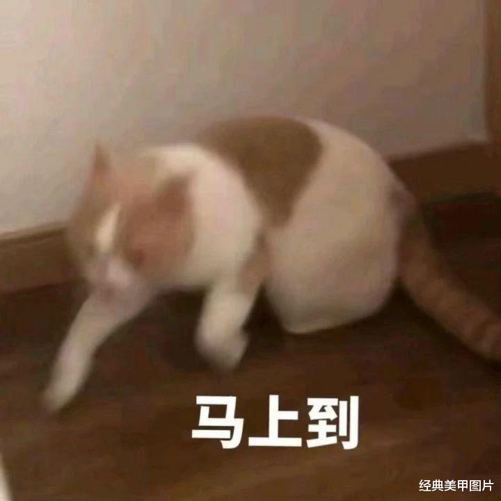 美甲|谁说短指甲不适合做美甲，美酱第一个跳出来反对！