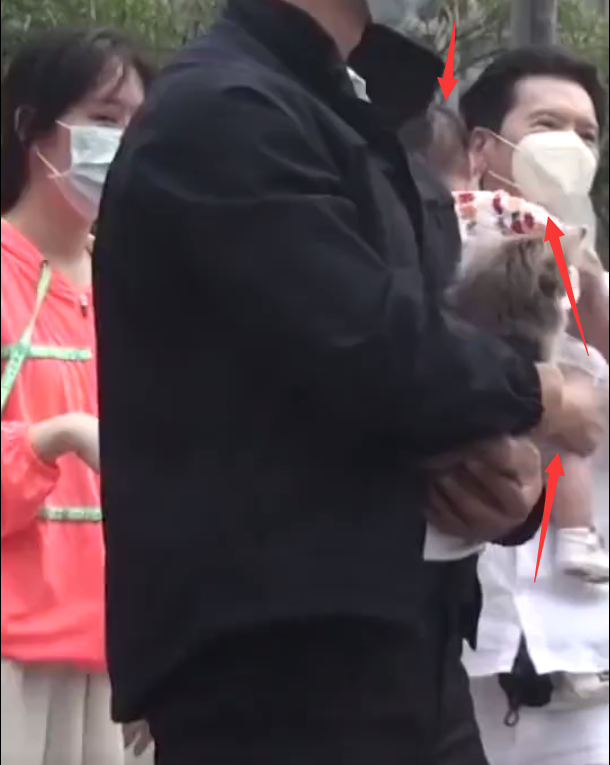 向华强|向华强抱孙女上街，小心谨慎路都不敢大走！网友：真是一物降一物