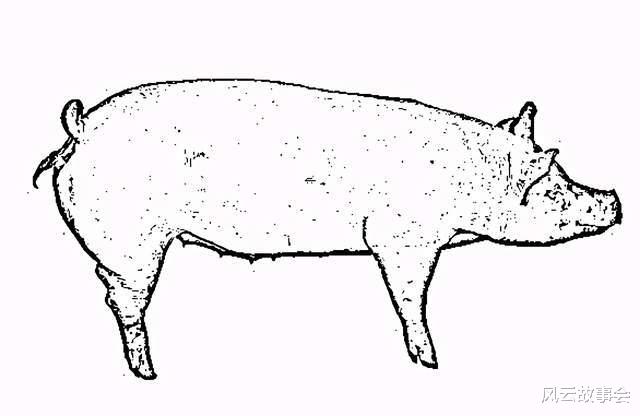 风云故事会|民间故事：木匠给寡妇做床，新床三天两头倒塌，寡妇：造孽啊