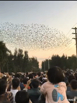 时尚炫点 “有个很棒的男朋友是一种什么样的体验?”