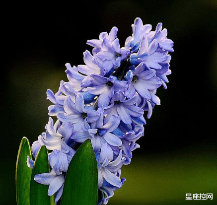 |哪些日期出生的人，勇于担当，有责任感，职场中有口皆碑