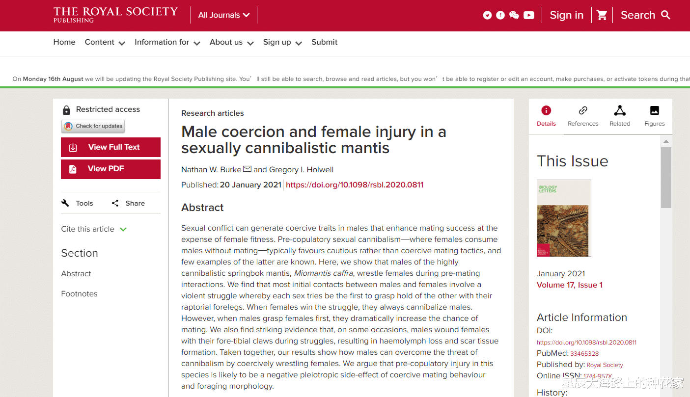 昆虫 螳螂交配后:“新娘”为何吃掉“新郎官”?新娘:这全是为它好!