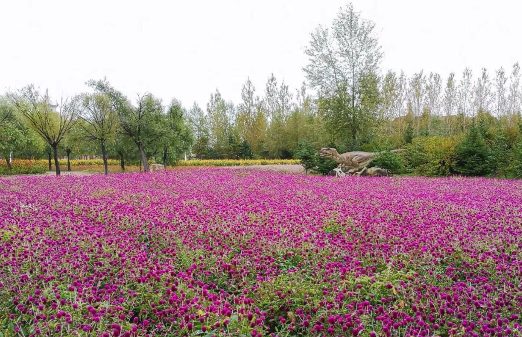 恐龙|这座边境小城，出土了中国第一块恐龙化石，被称为“恐龙之乡”