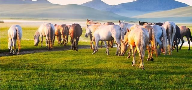 内蒙古 内蒙古一景区被爆“宰客”,管理混乱,过度收费