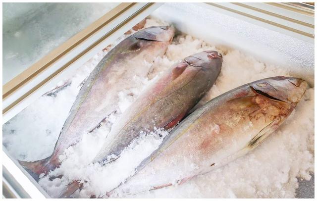 贝贝豆育儿课堂|怀孕期间,孕妈吃鱼要牢记“三原则”,孕妈吃得对胎宝才能少受罪