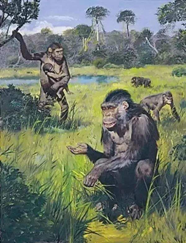 地球上拥有150万种动物,偏偏是人类进化出了智慧?是谁在安排?