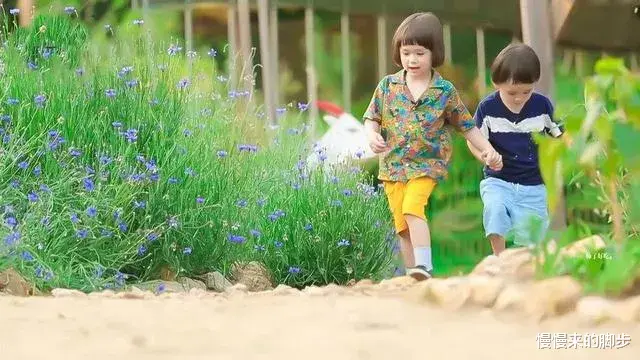 慢慢来的脚步|一些特别温柔的句子，送给温柔的你