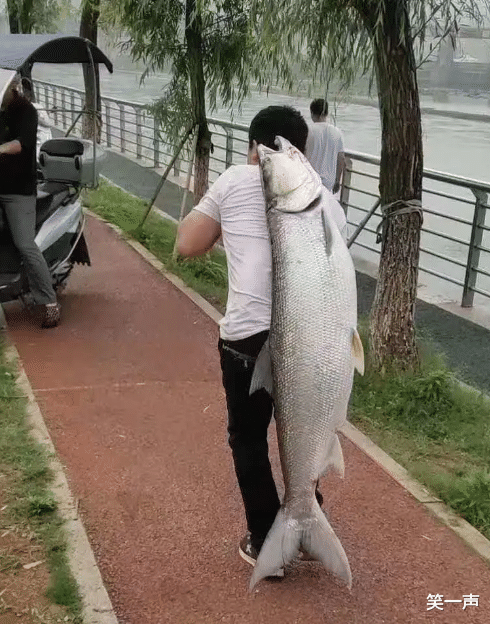 |“明人不说暗话，我就是群主，我的主食就是小笼包！”哈哈哈哈