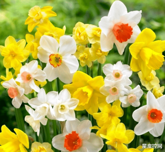 星座控网|哪些月份出生的人，过去常吃亏，未来福星高照，连本带利赚回来