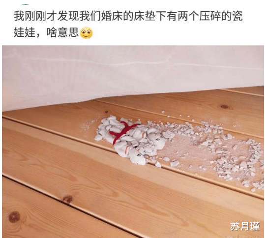 摄像头 “大家帮忙看一下，我家狗子怎么了....”