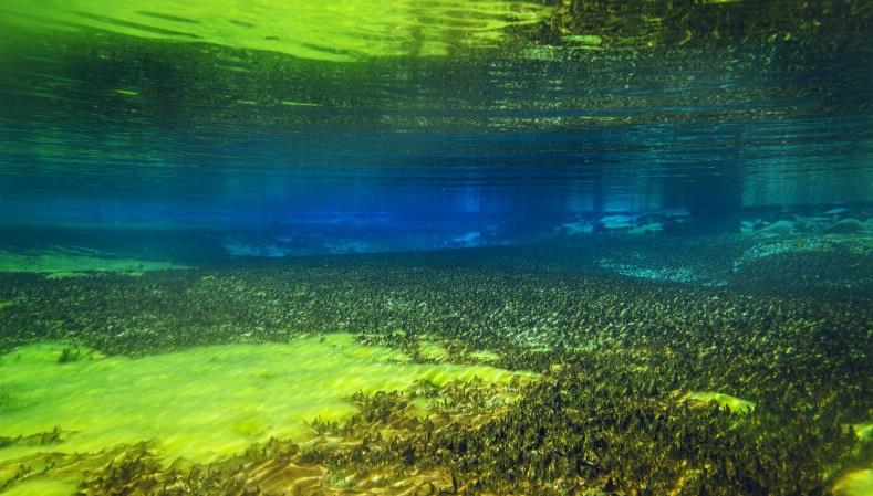 水底奥秘 蓝湖：世界上最清澈的淡水湖，是人类已知的最清澈的淡水天然水体