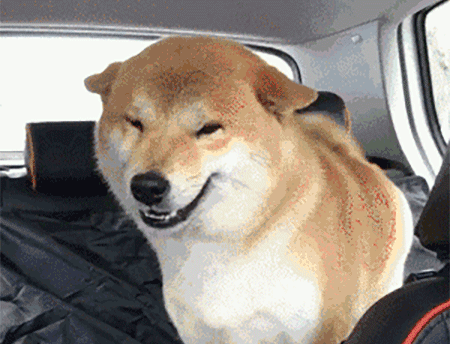 猞猁 狼见了都要叫大哥的“猞猁”，在森林里究竟有多恐怖？