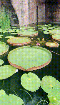 女友出差回来从她包里翻出这个,干嘛用的?网友暗示我被绿了