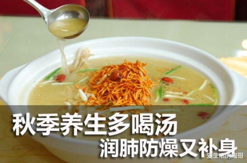 爱生活的陶哥|秋补多喝汤，5道养生汤，女人喝了更美，男人更强壮，孩子更健康