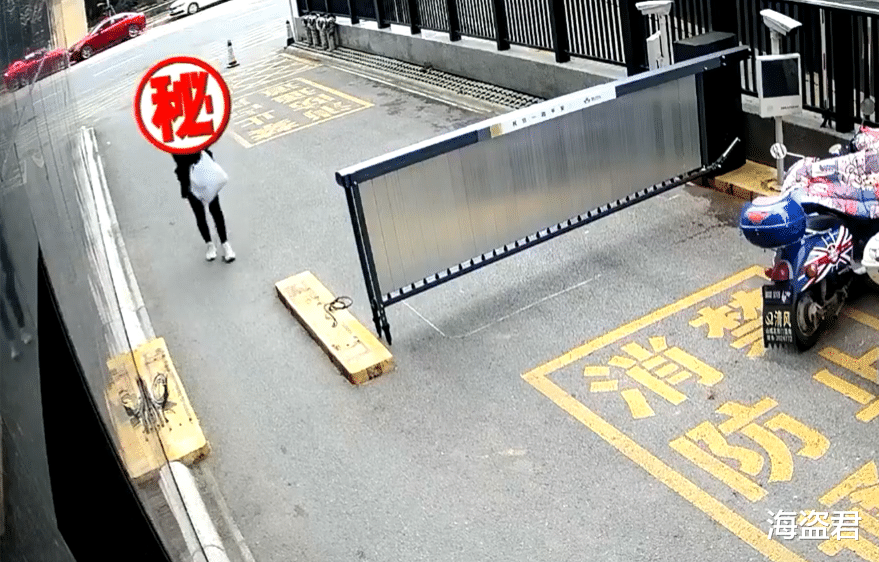 女子到楼顶偷香肠,为躲避监控徒步爬34层楼,不料楼梯间也有监控