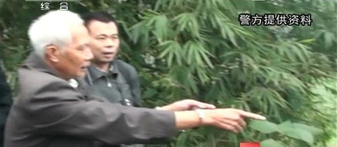 小妃旅 四川泸州竹林白骨案: 生活混乱造就四角畸恋 竹林茂密难掩白骨冤魂