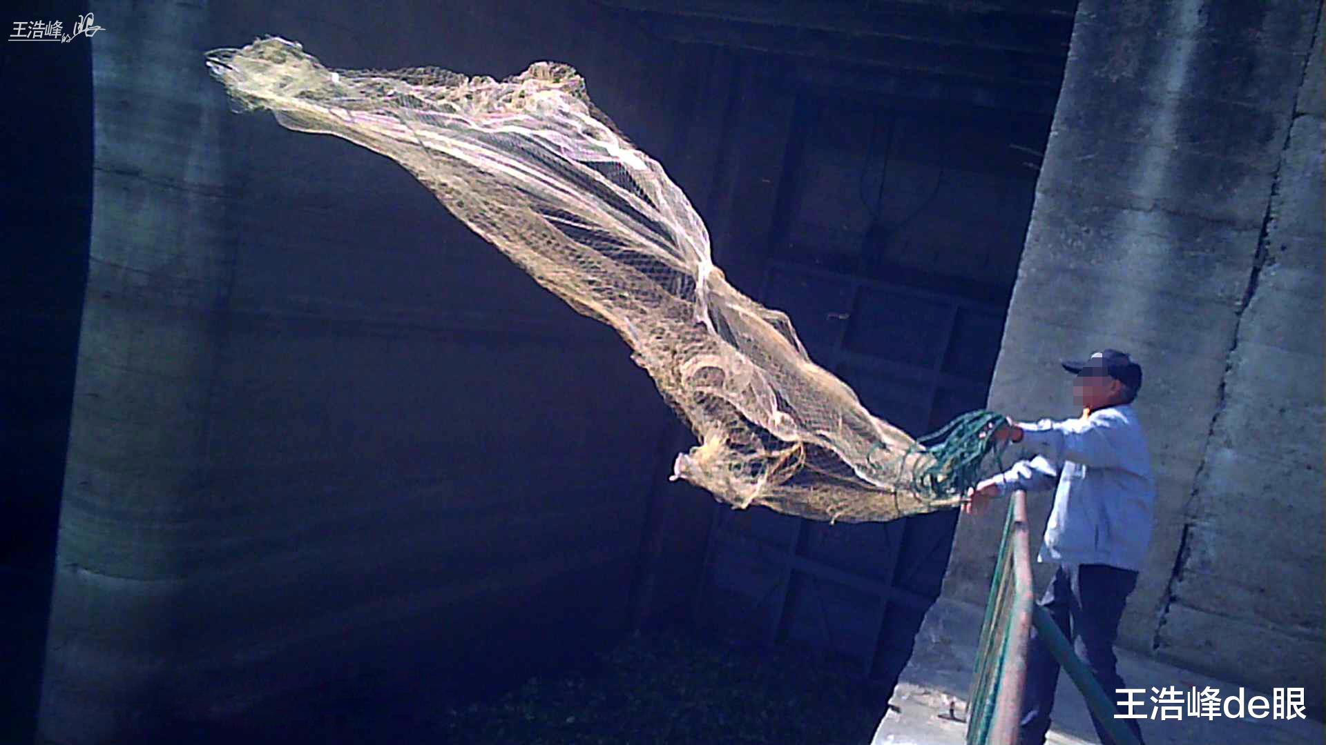 饵料|禁捕鱼咋禁的？湖北孝感河中下满网空中网直飞